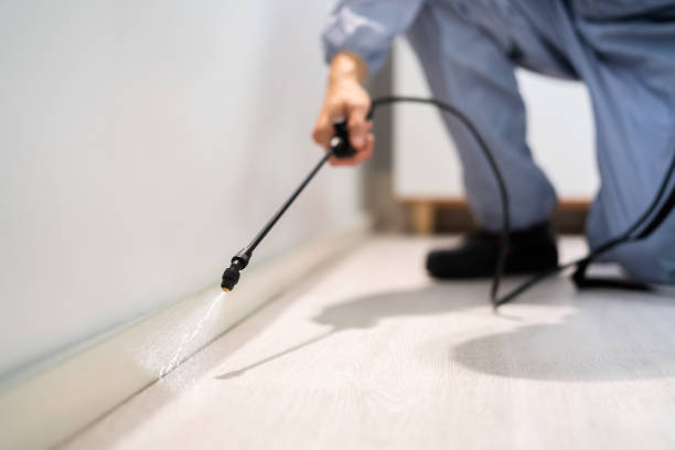 Rodent Entry Point Assessment in Shoemakersville