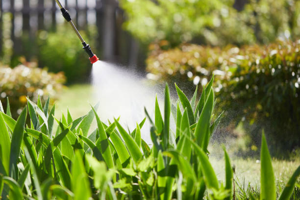 Tamper-Resistant Bait Stations for Rodents in Shoemakersville