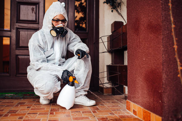 Attic and Crawl Space Rodent Treatment in Shoemakersville