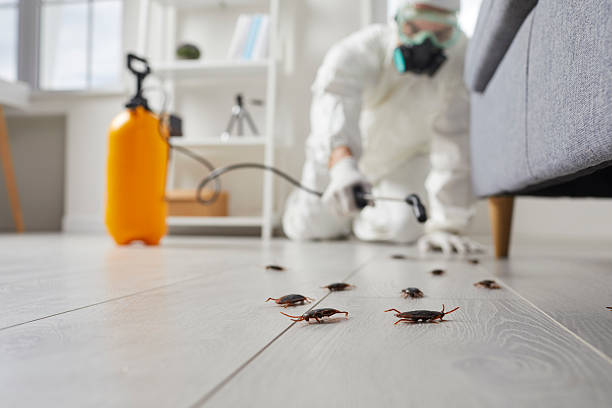 Commercial Rodent Management in Shoemakersville